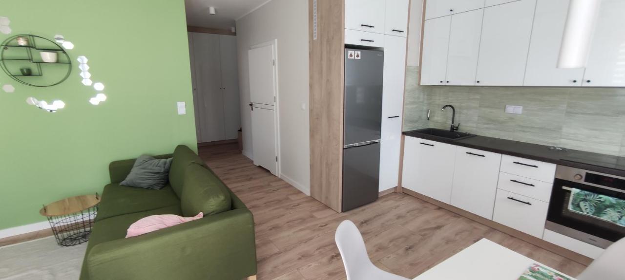 Apartament Zielone Zamienie エクステリア 写真