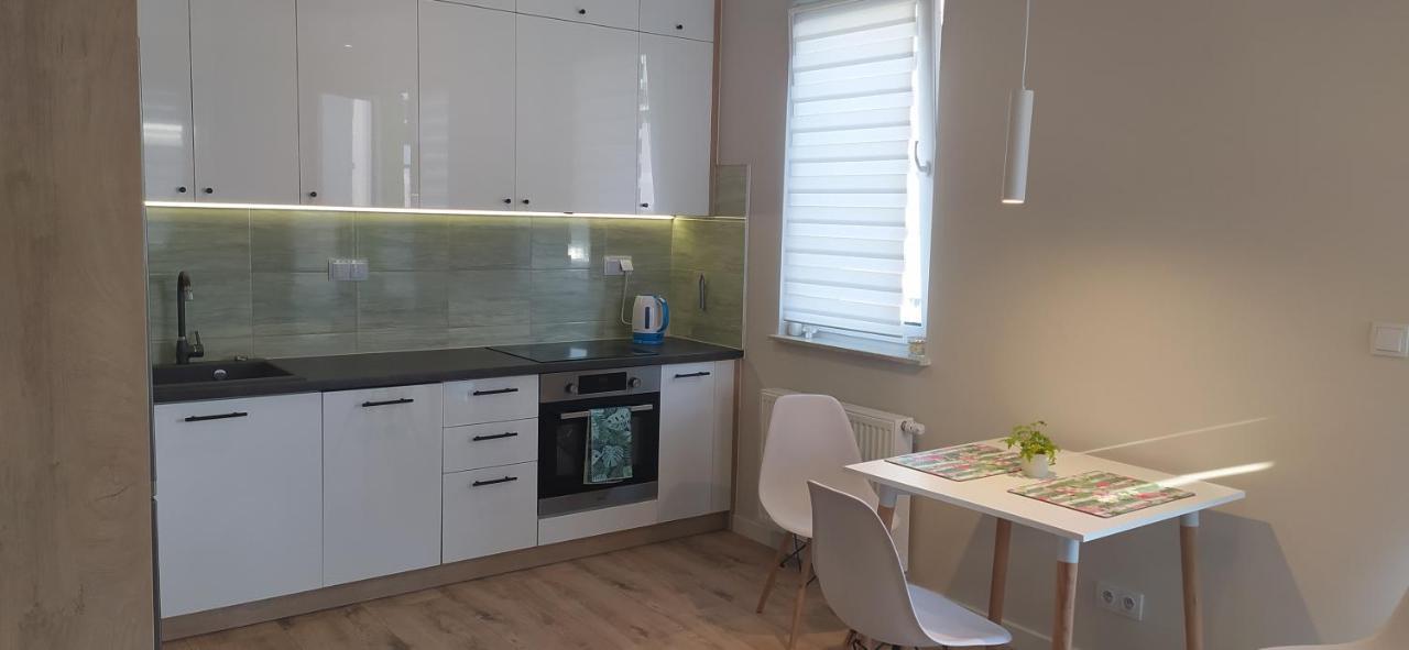 Apartament Zielone Zamienie エクステリア 写真