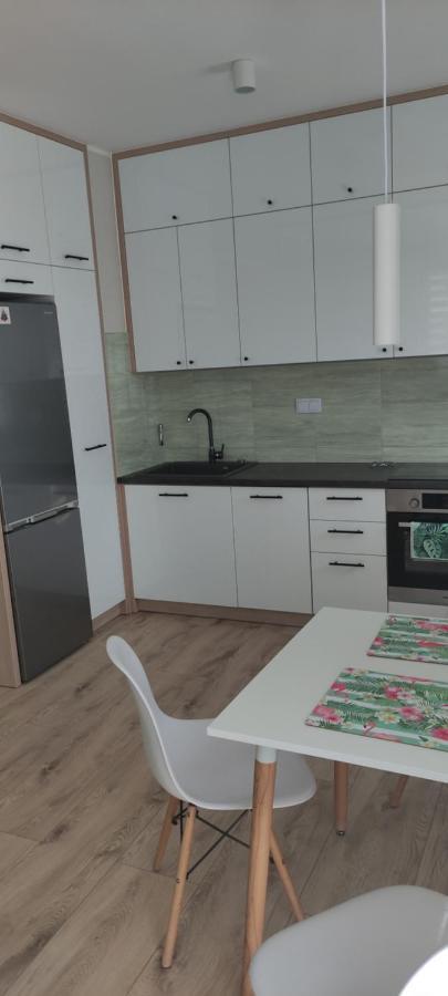 Apartament Zielone Zamienie エクステリア 写真