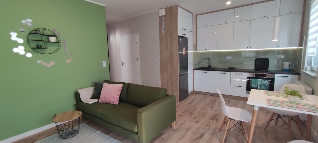 Apartament Zielone Zamienie エクステリア 写真
