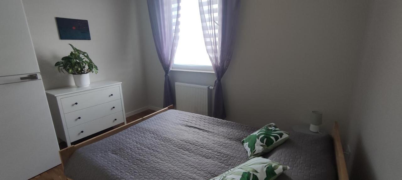 Apartament Zielone Zamienie エクステリア 写真