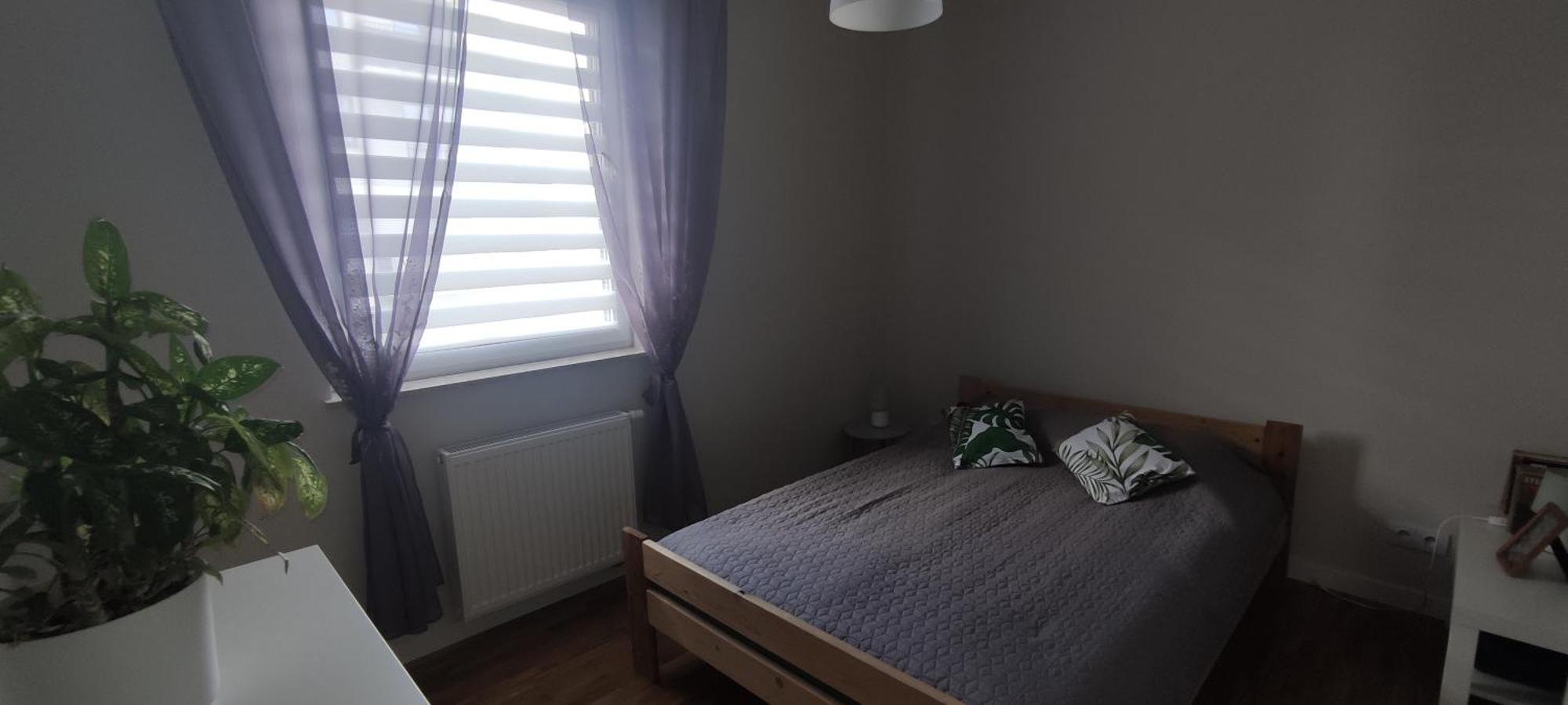 Apartament Zielone Zamienie エクステリア 写真